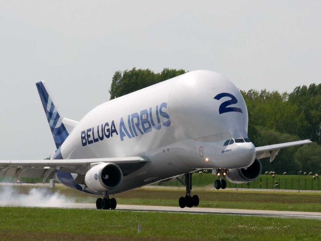 The Airbus Beluga continues to transport the largest air freight