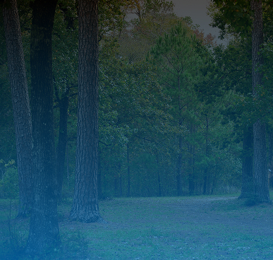 texarkana