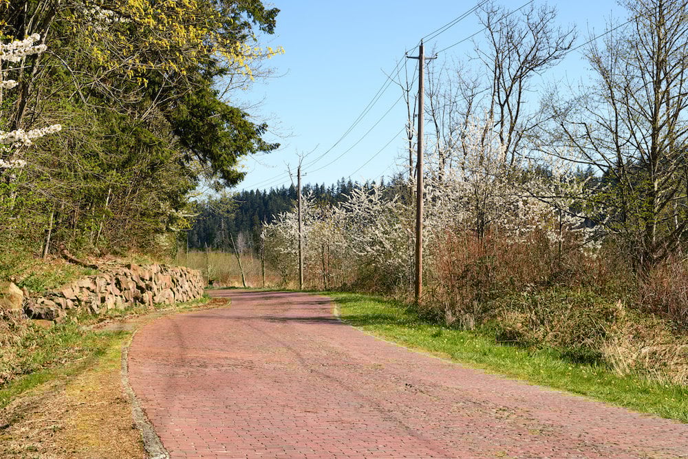 Redmond Washington