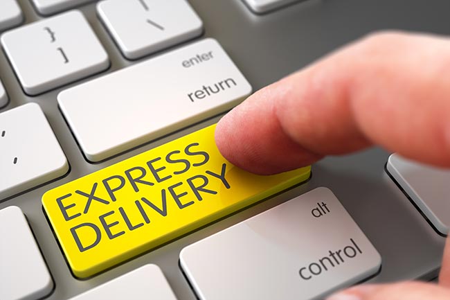 Expedited Delivery Services